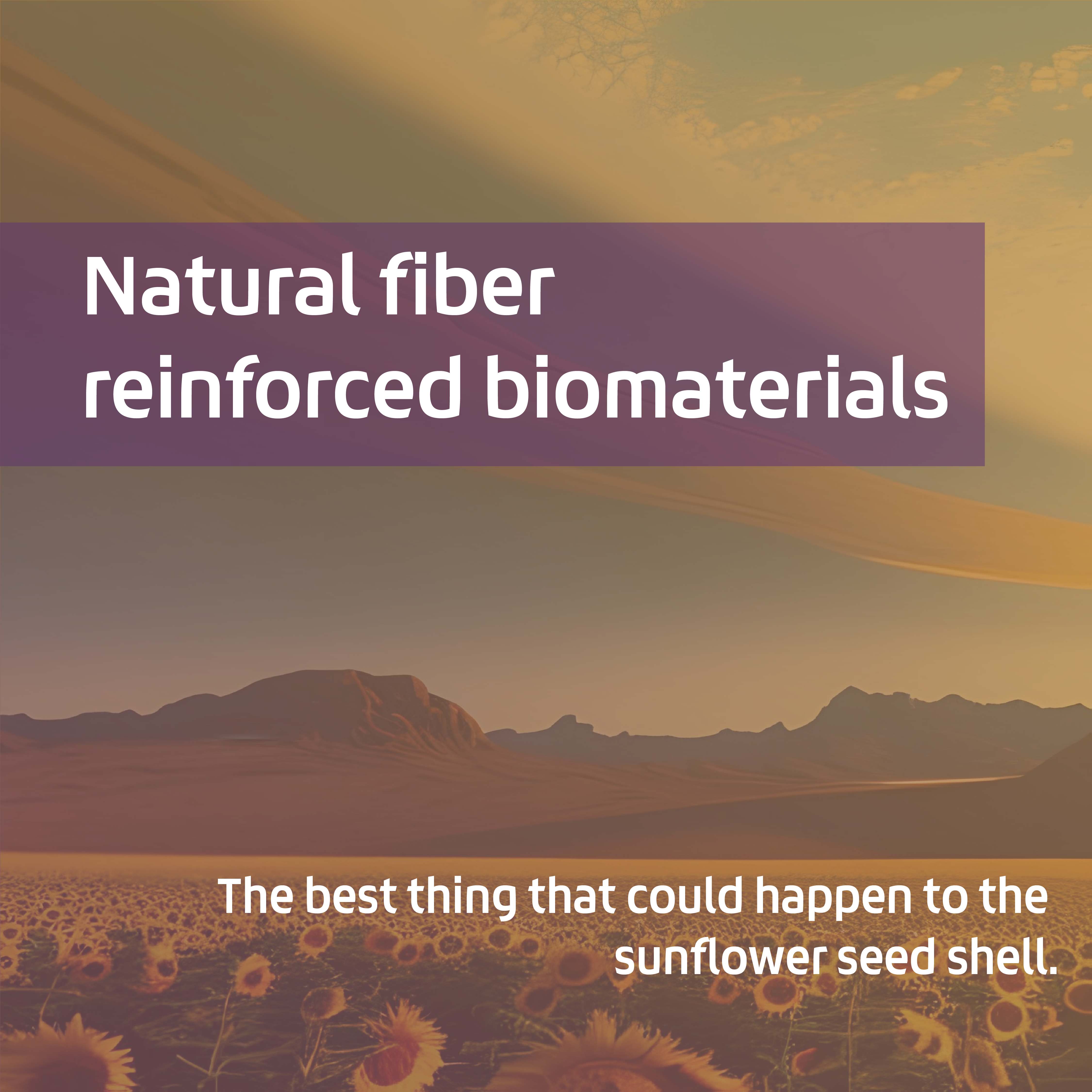Naturfaserverstärkte Biowerkstoffe: das Beste, was der Sonnenblumenkernschale passieren konnte.